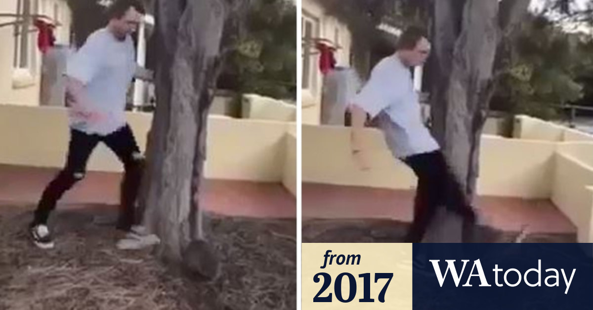 RSPCA 'absolutely horrified' by quokka kicking on Rottnest Island